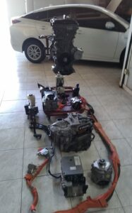 Foto_Hibridos (2)