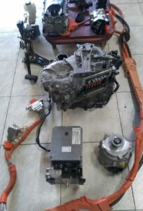 Foto_Hibridos (3)