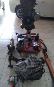 Foto_Hibridos (4)
