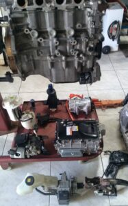 Foto_Hibridos (6)
